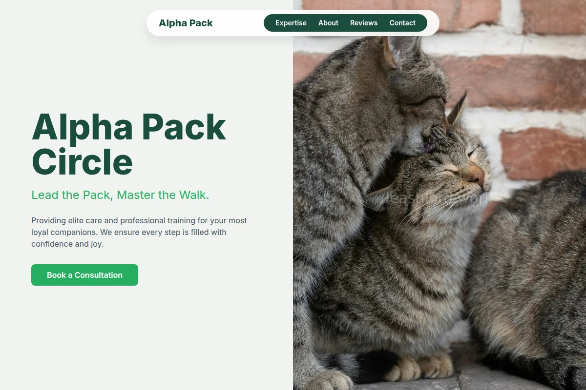 Pack Animal Care