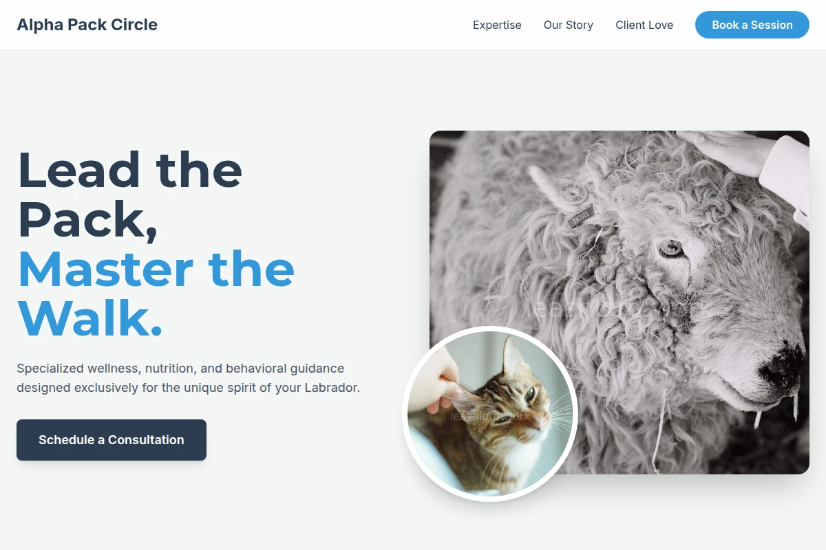 Labrador Animal Care