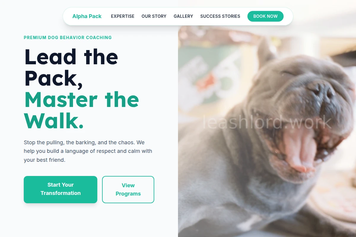 Setter Dog Behavior