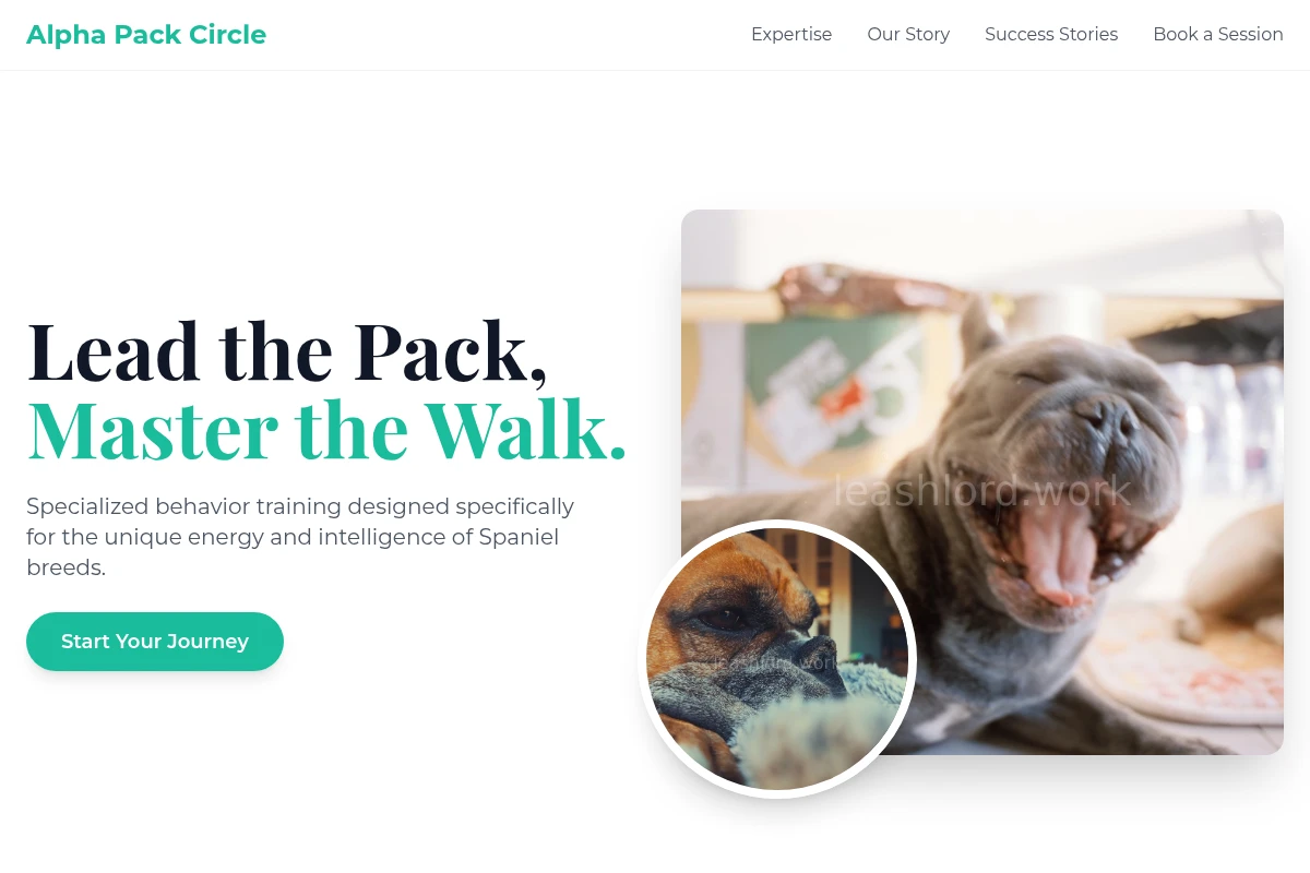 Spaniel Dog Behavior