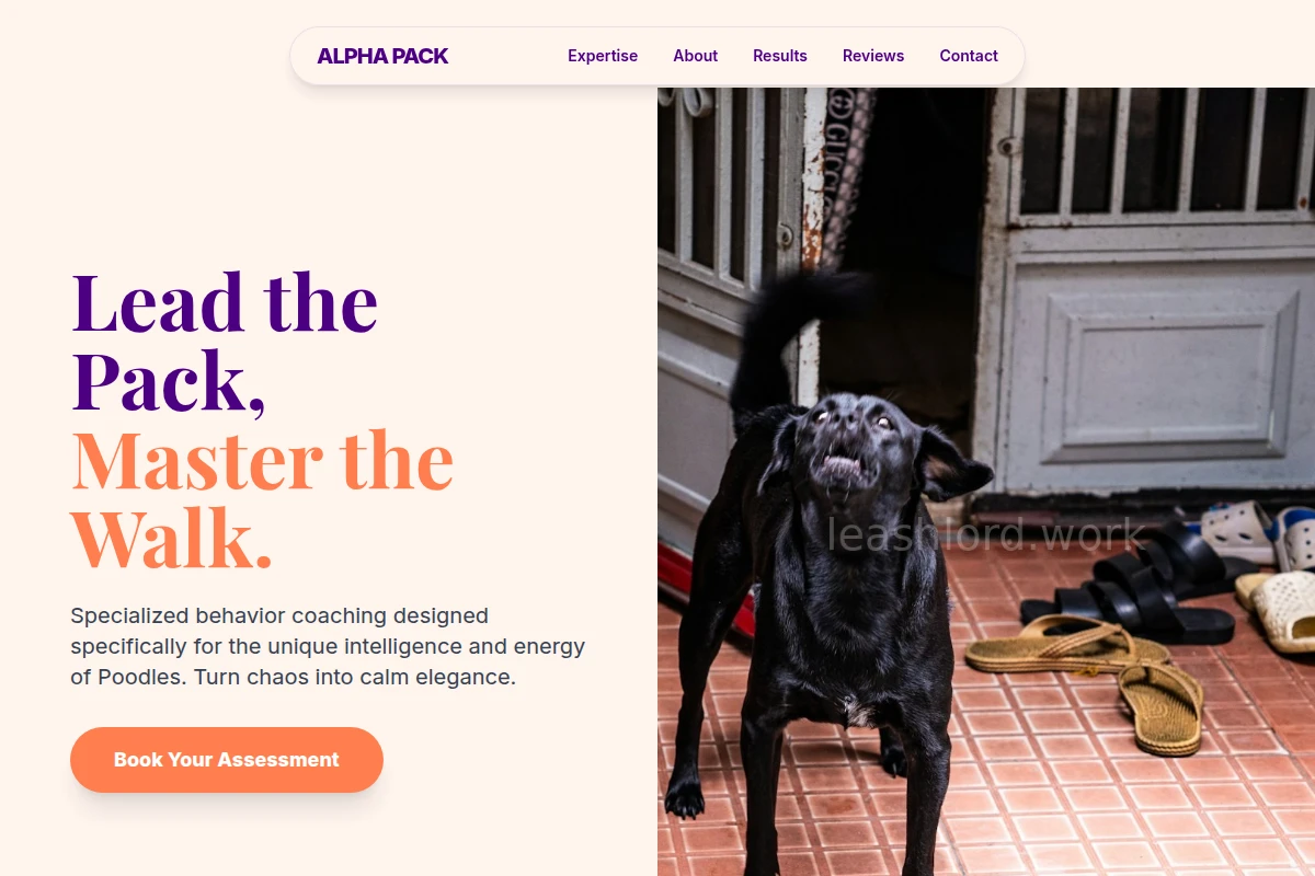 Poodle Dog Behavior
