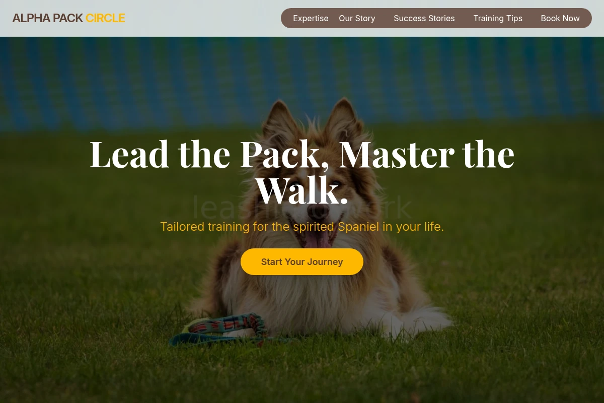 Spaniel Dog Training