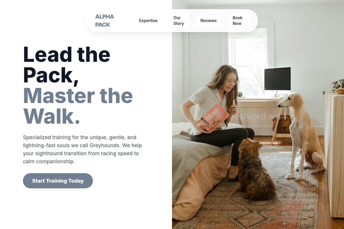 Greyhound Dog Training
