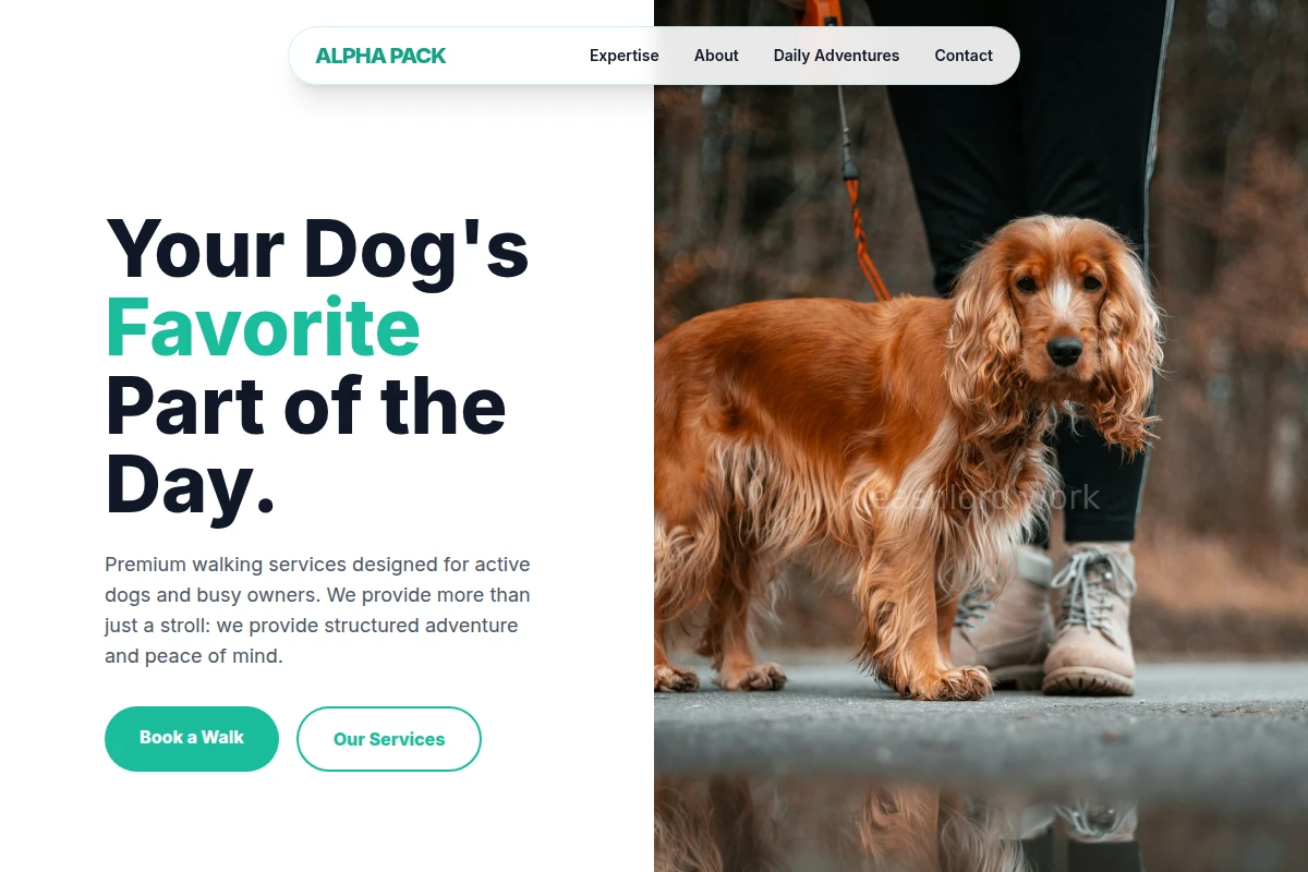 Canine Dog Walking