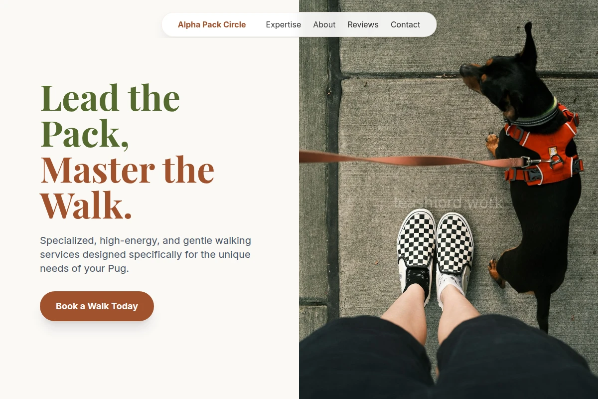 Pug Dog Walking