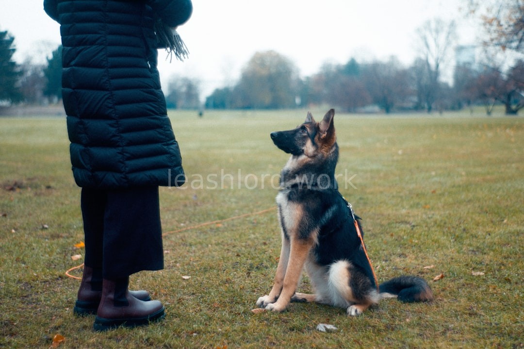 Leash training
