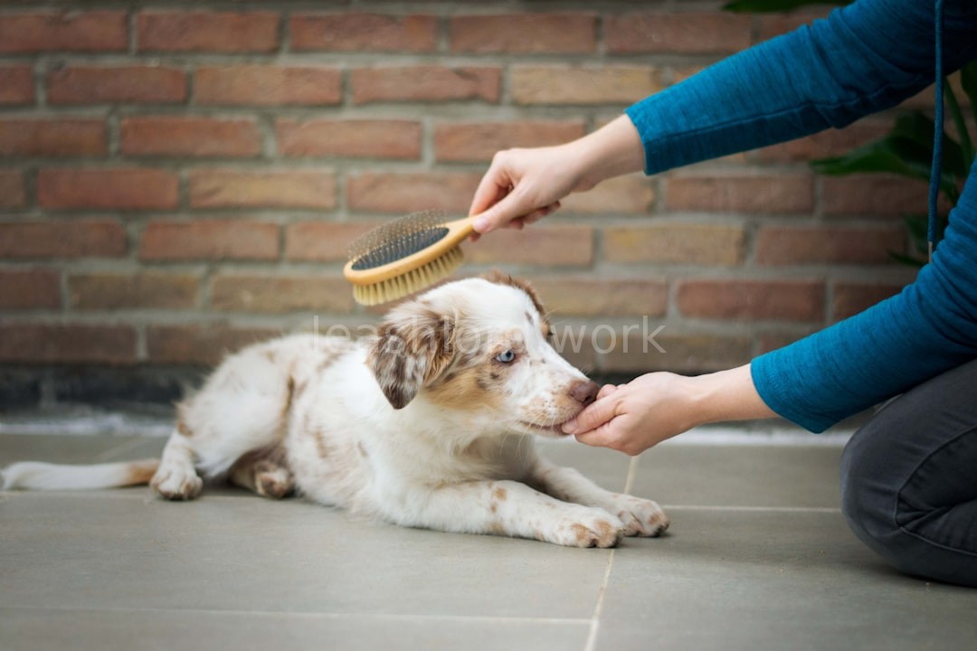 Behavior modification