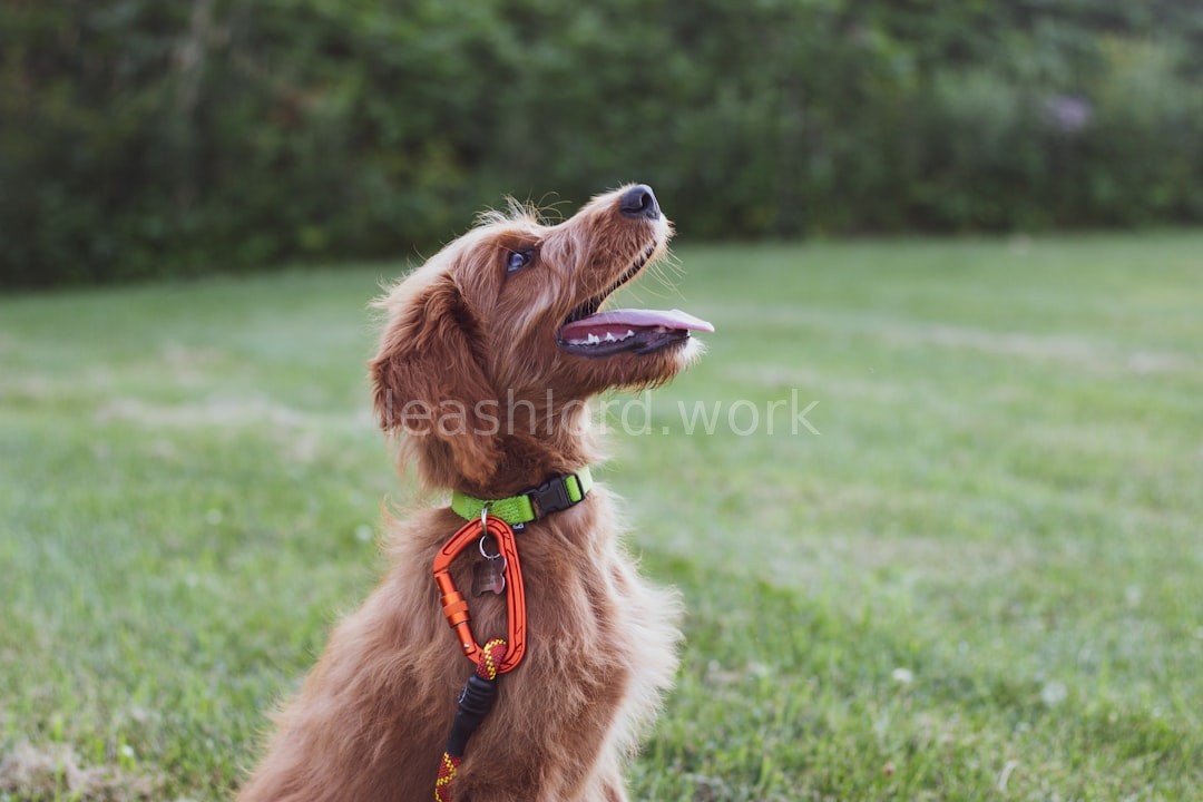 Recall training