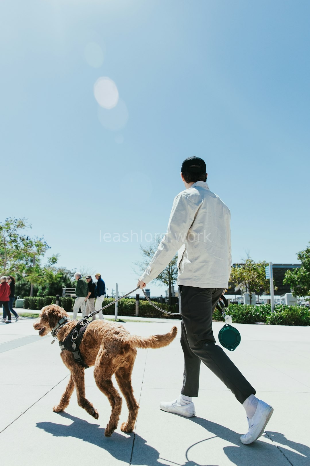 Solo Walk