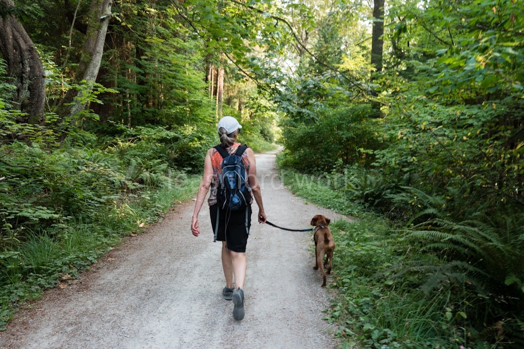 Dog Walking